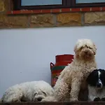 El Terrero