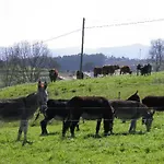 El Terrero