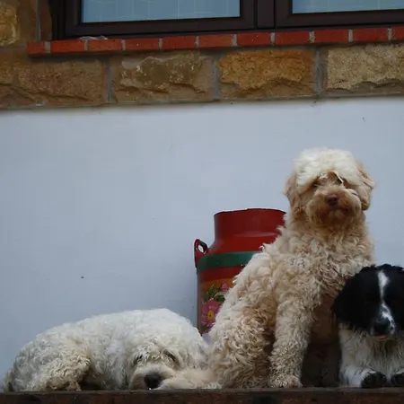 El Terrero