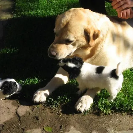 El Terrero Сasa de vacaciones *