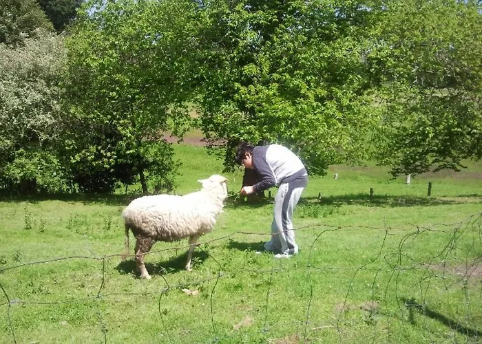 El Terrero Hébergement de vacances