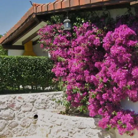 El Terrero Feriehus Lamadrid