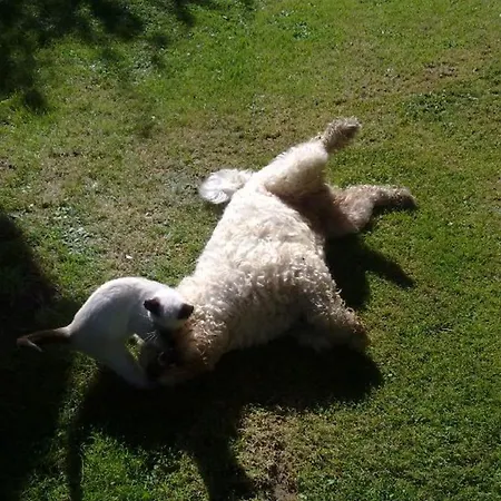 Дом отдыха El Terrero *