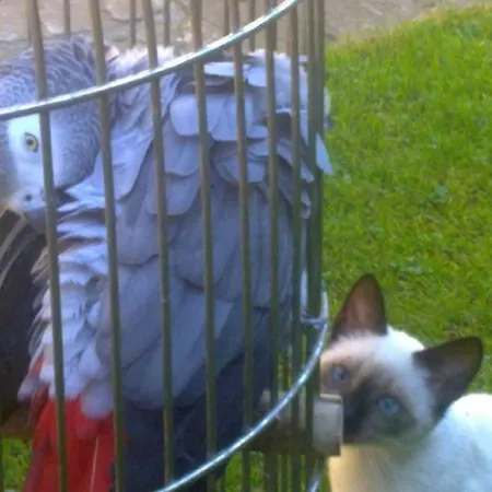 El Terrero Ламадрид